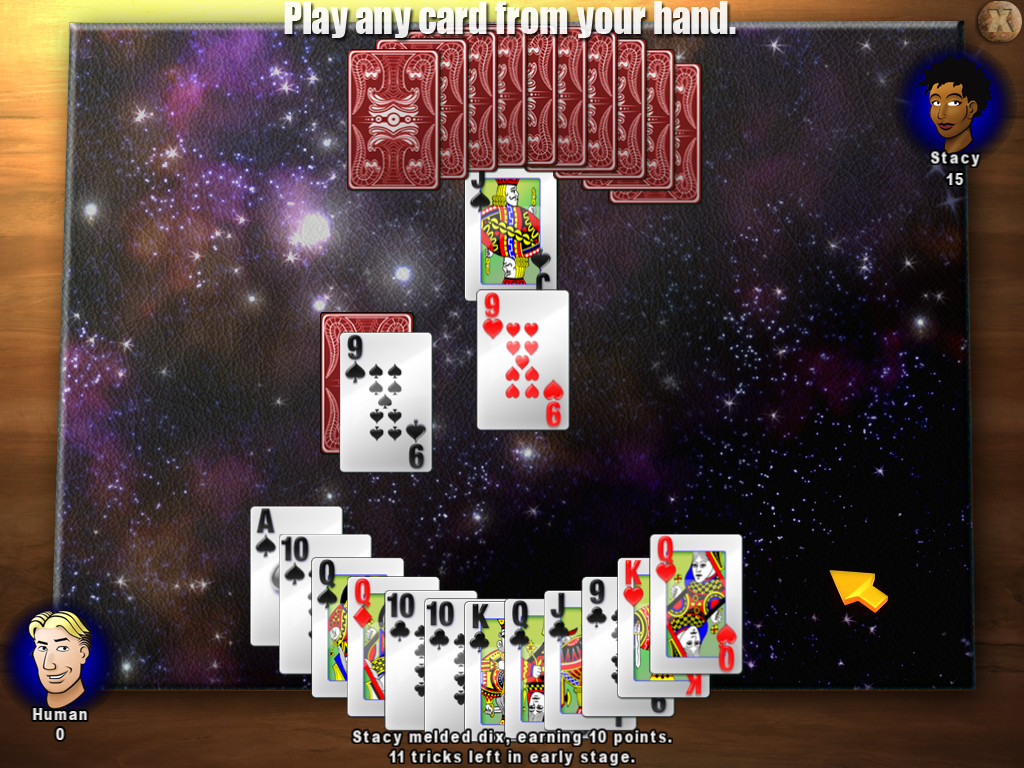 Classic Card Game Euchre