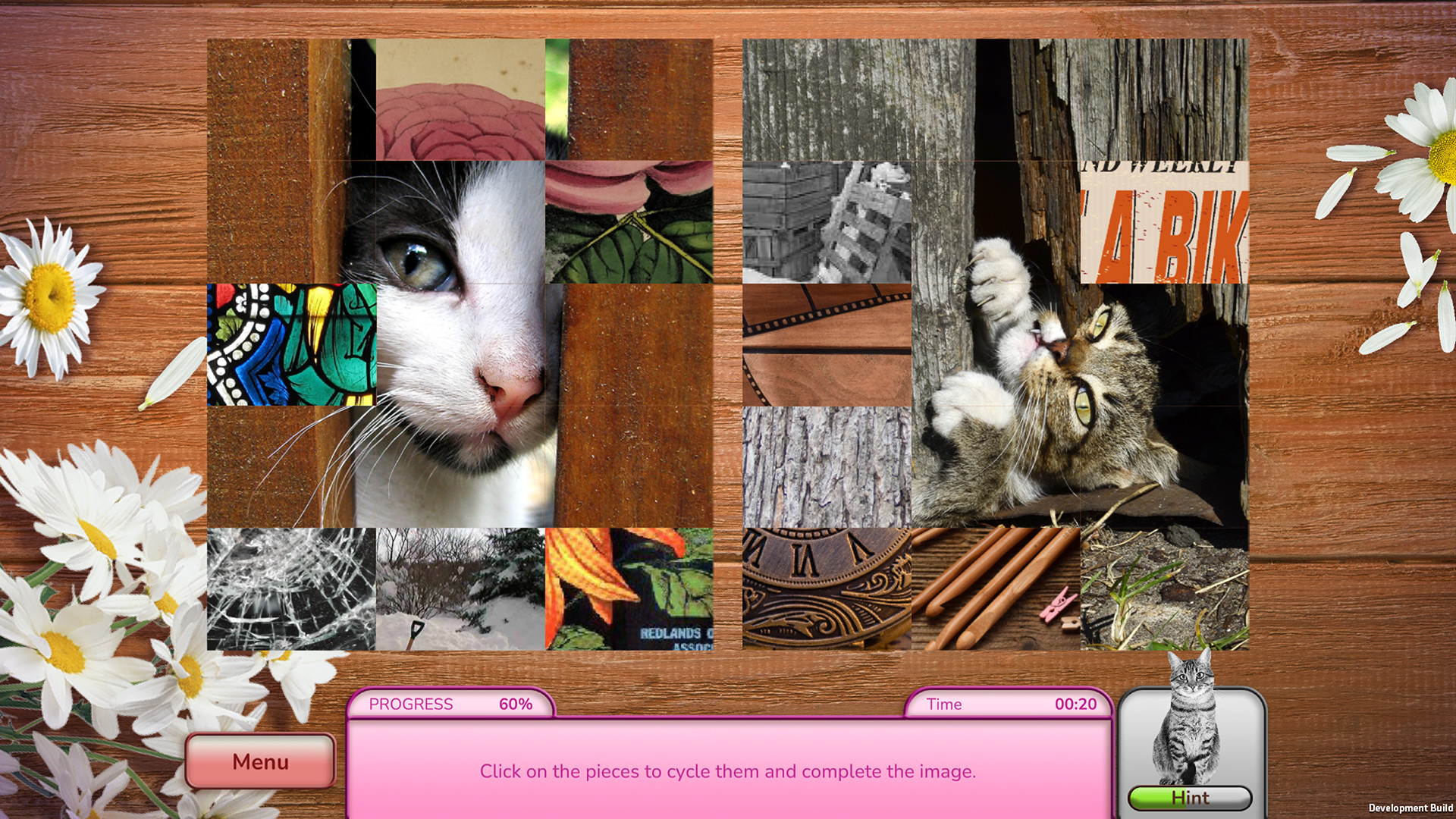 I Love Finding Cats