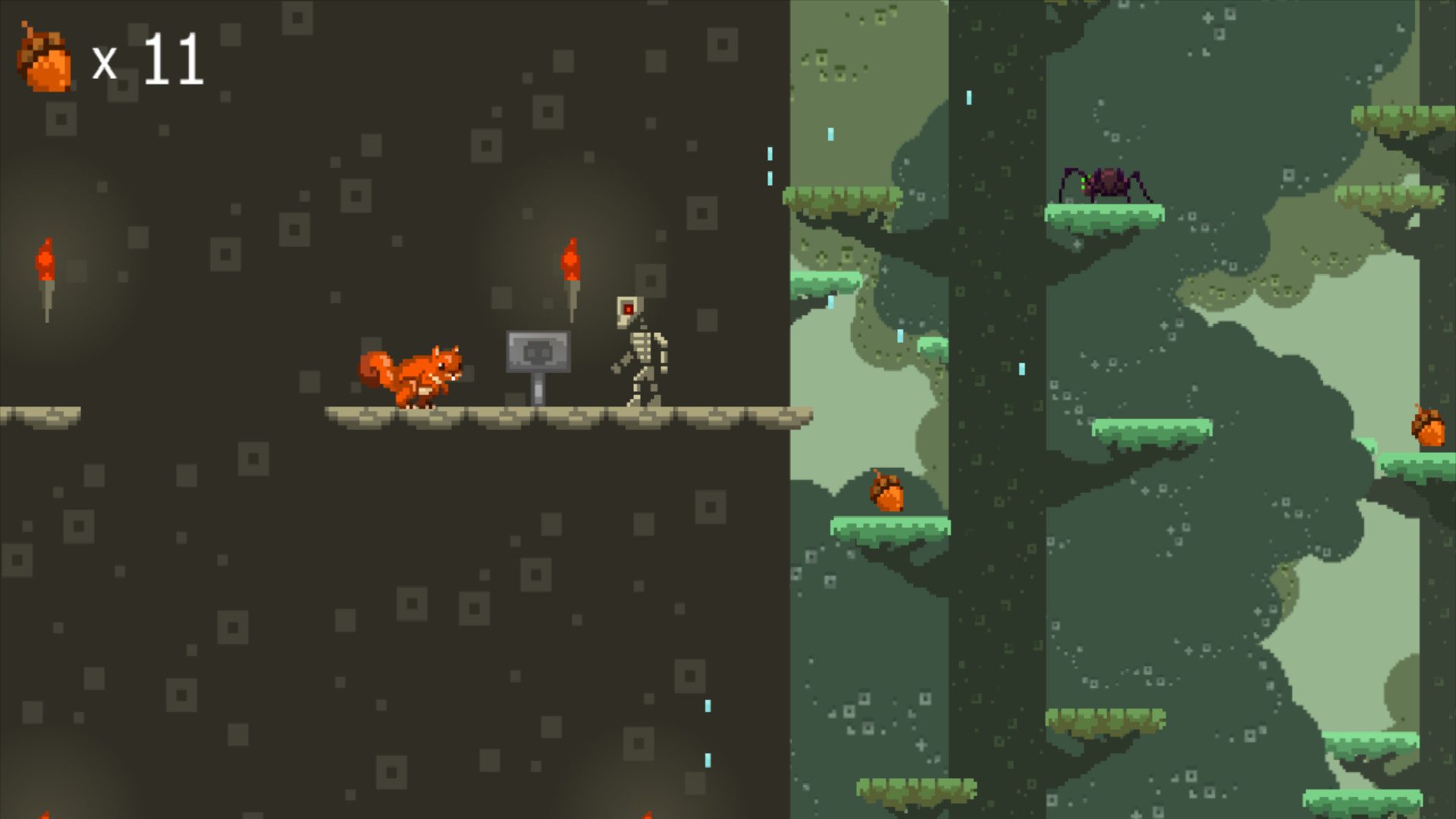 Squirrel Jump