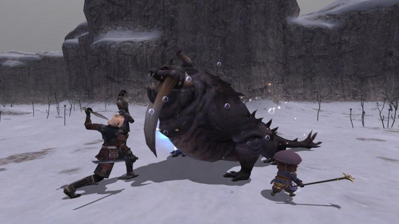 FINAL FANTASY XI