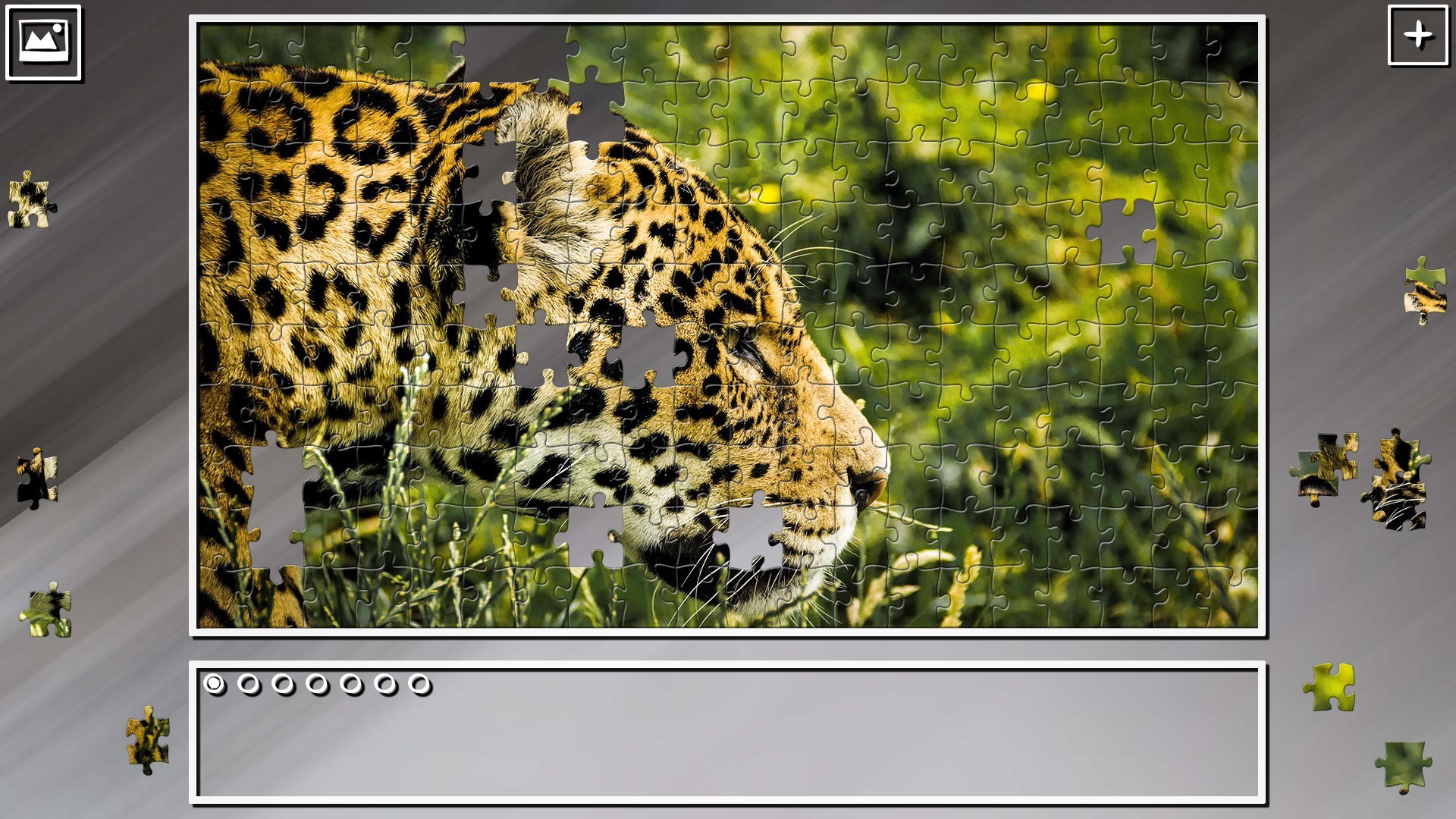 Super Jigsaw Puzzle: Generations - Big Cats 2