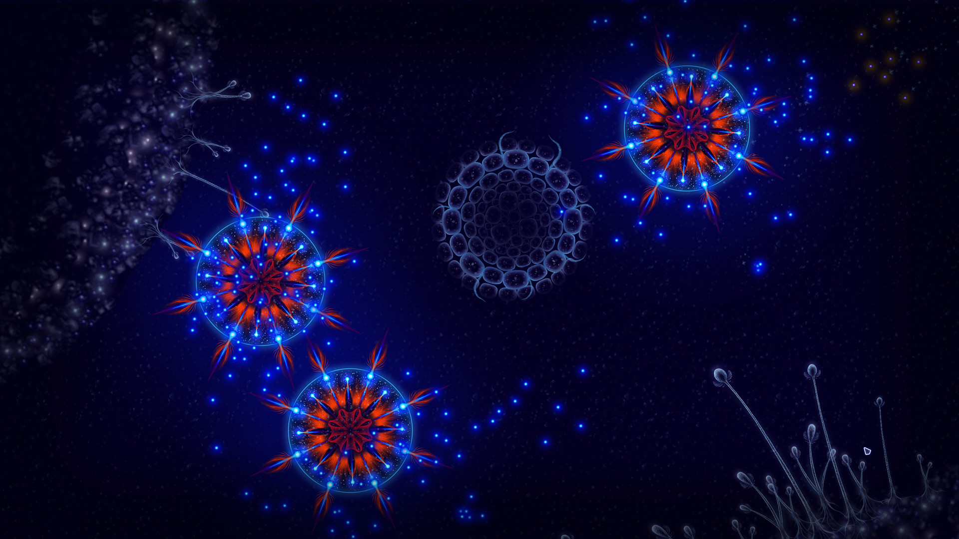 Microcosmum: survival of cells Demo