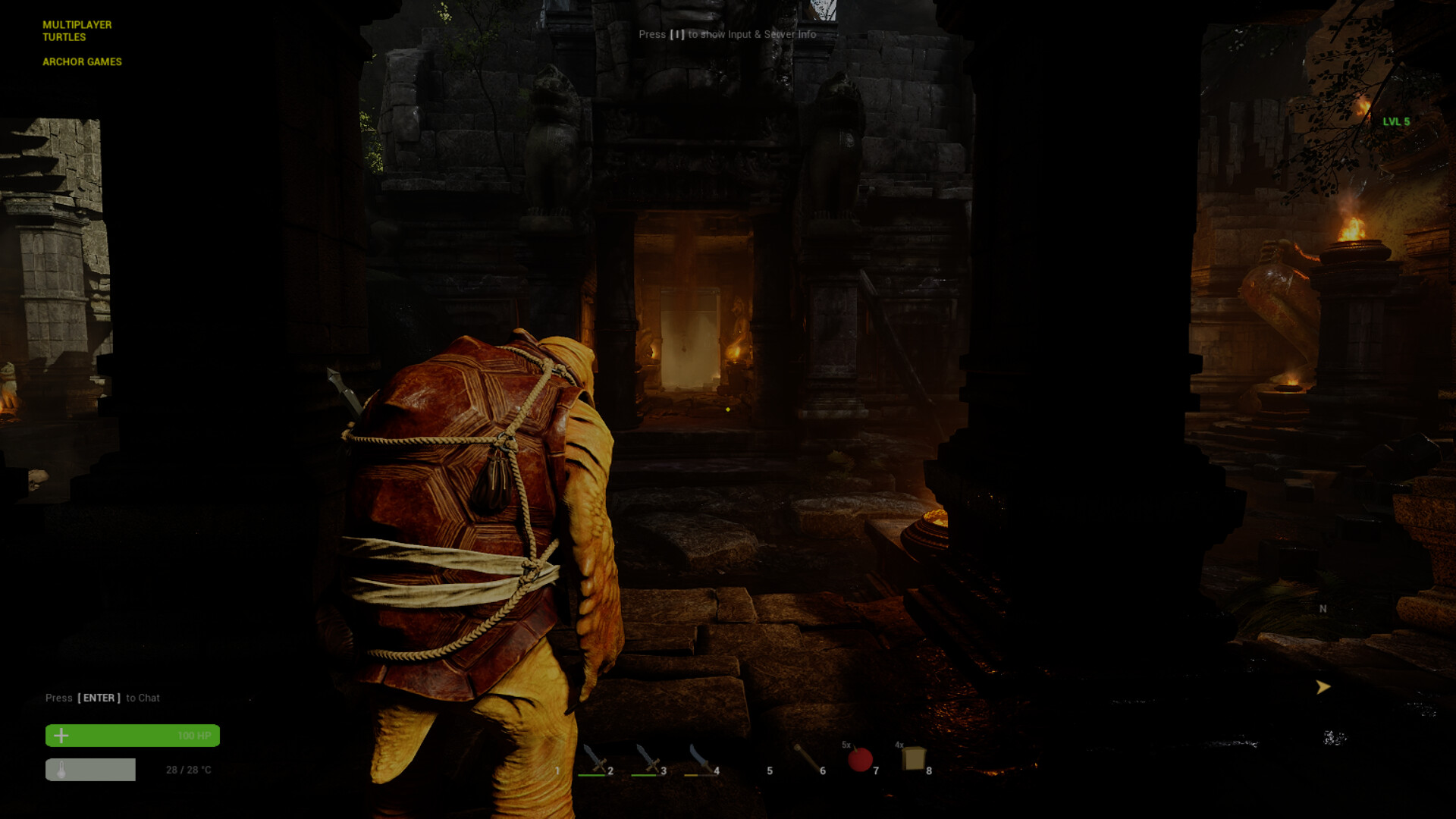 Multiplayer Turtles