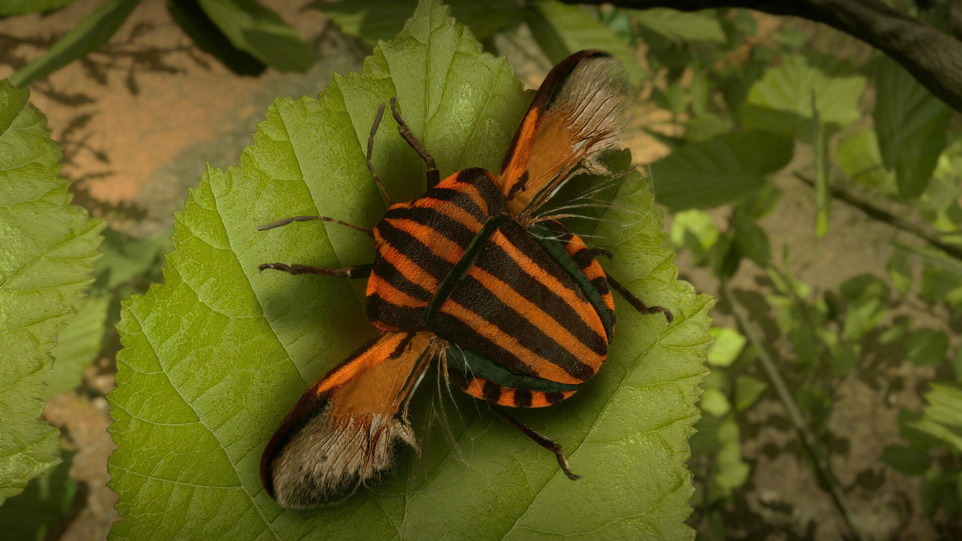 Insect Worlds Demo