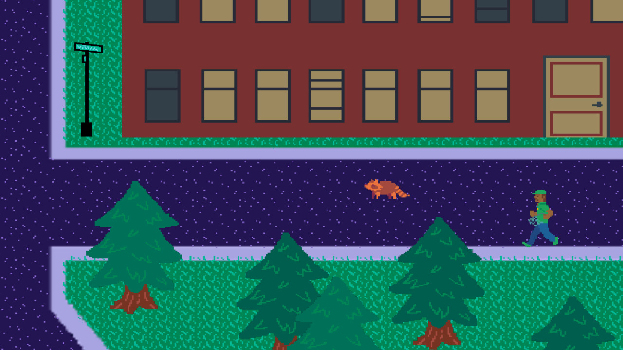 Raccoon Run