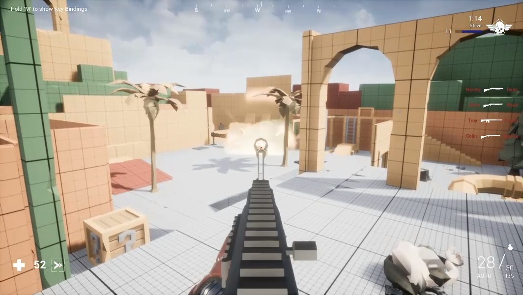 Project Polygun