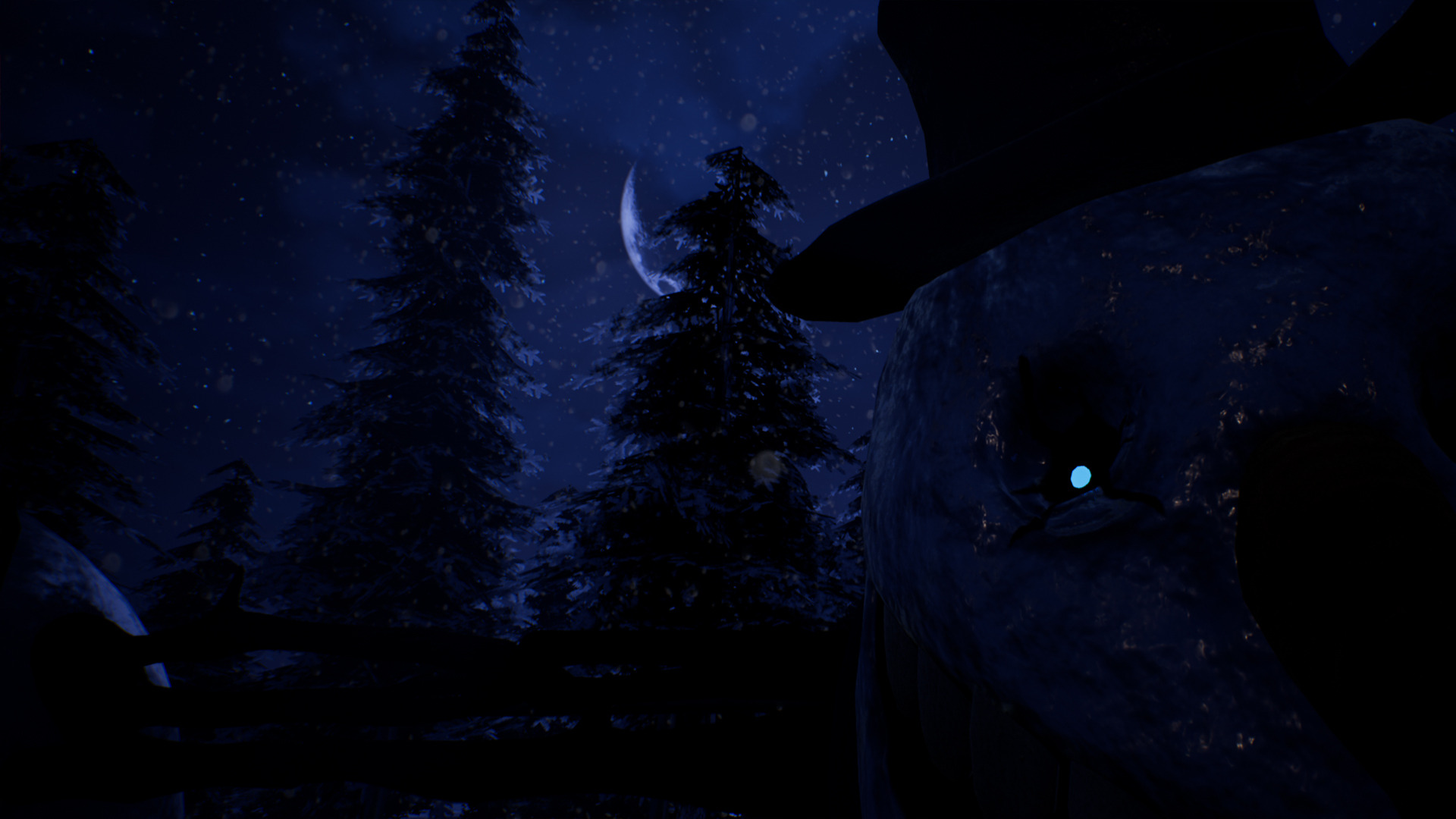 Frosty Nights
