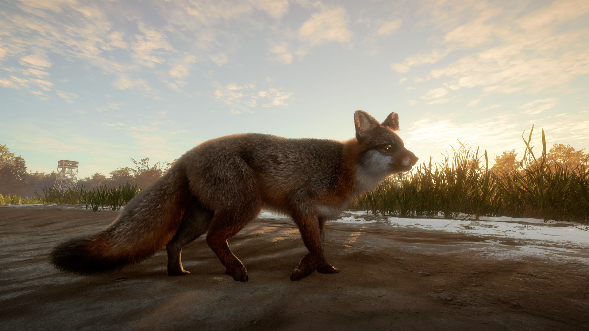 theHunter: Call of the Wild™ - Mississippi Acres Preserve