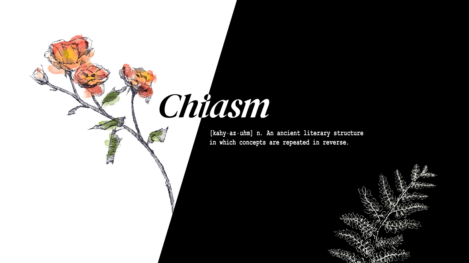 Chiasm Demo