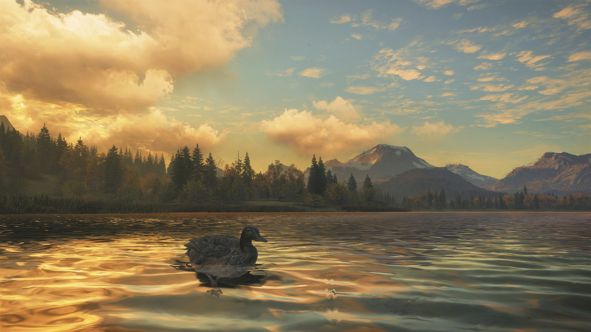 theHunter: Call of the Wild™ - New Species 2018