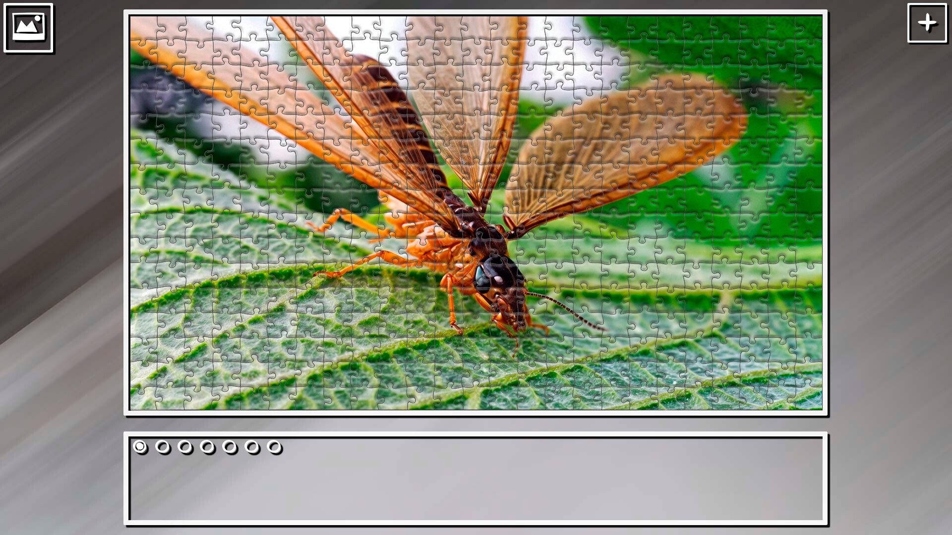 Super Jigsaw Puzzle: Generations - Bugs 2