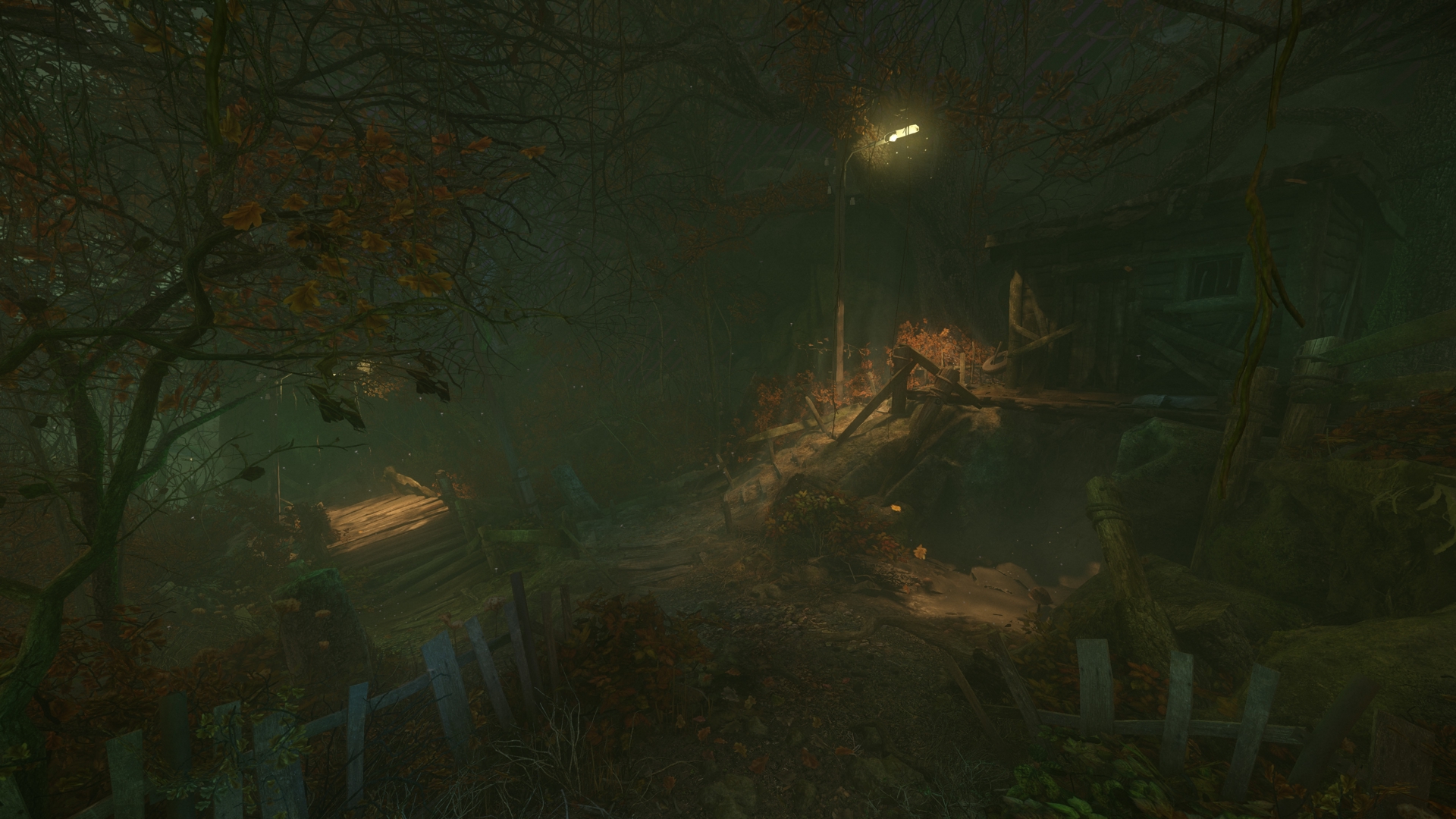 The Cursed Forest Demo