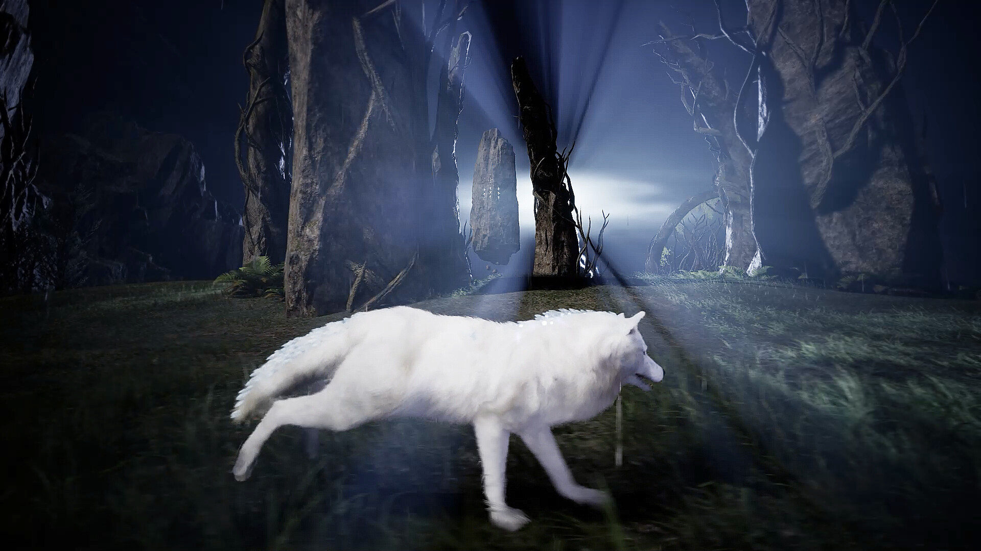 Light of Veilendor