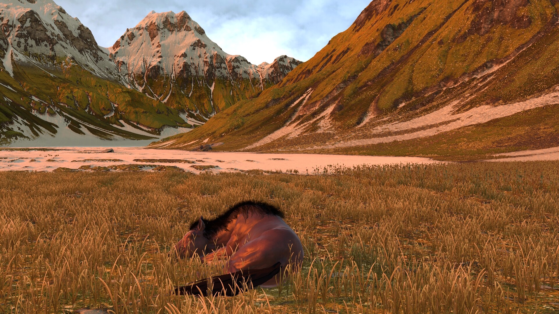 HORSE LIFE: find horses in open world, survive in wild nature as a foal or pony
