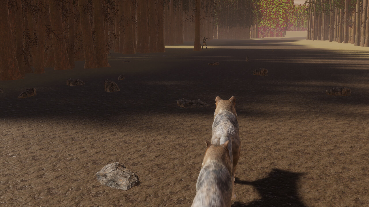 The Wolf's Hunt