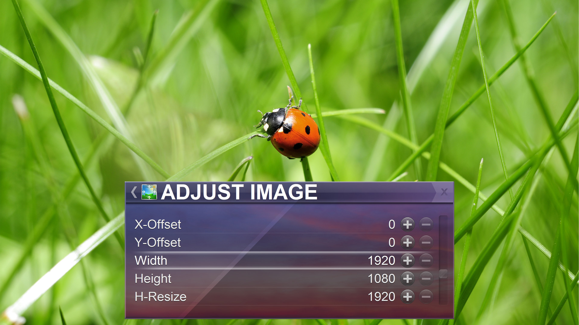 Zoom Player - 4K fullscreen navigation skin