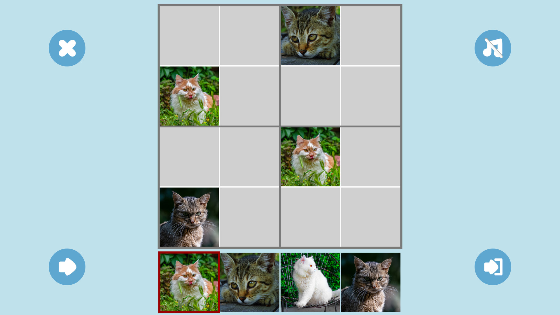CAT SUDOKU????