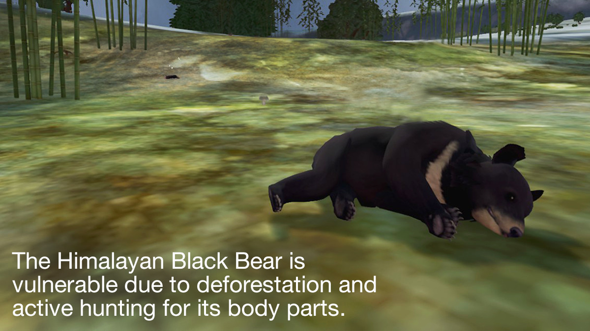 Tyto Ecology - Himalayas Ecosystem