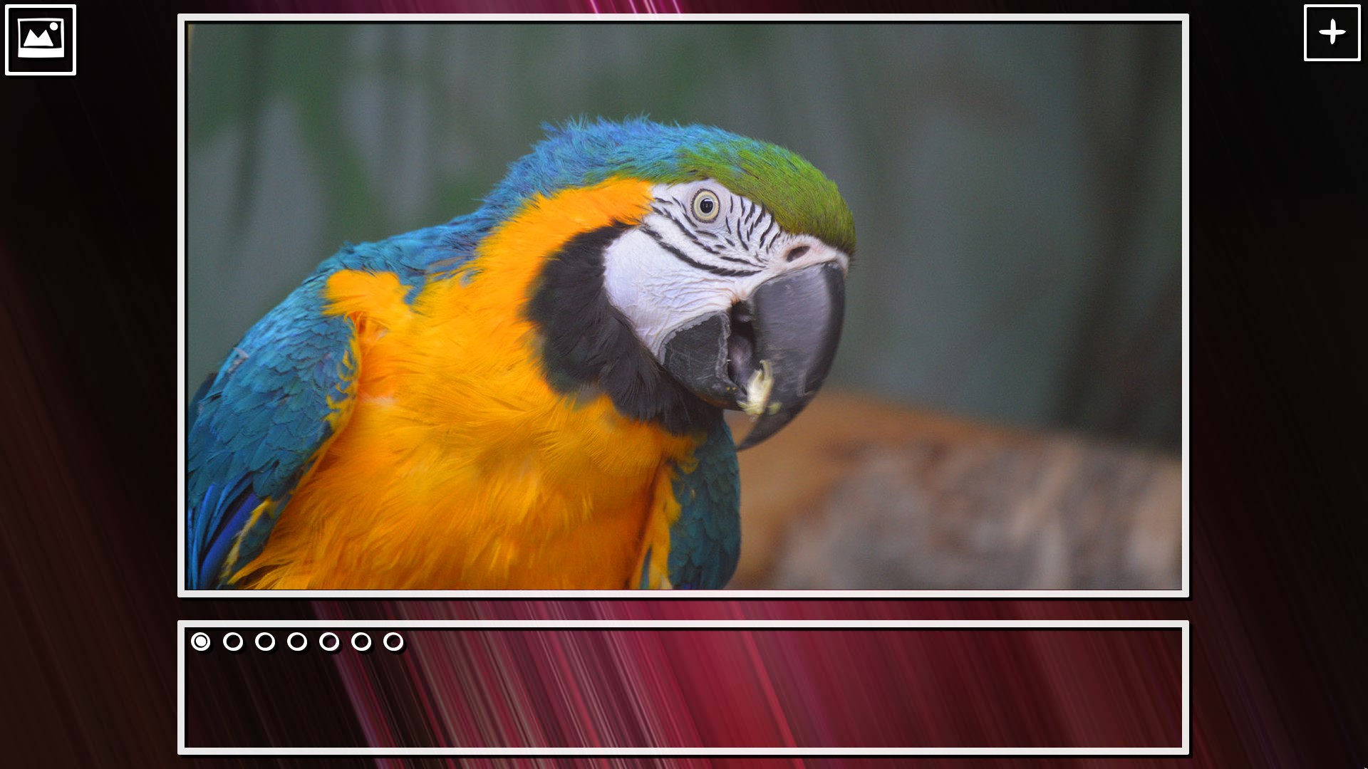Super Jigsaw Puzzle: Generations - Birds Puzzles