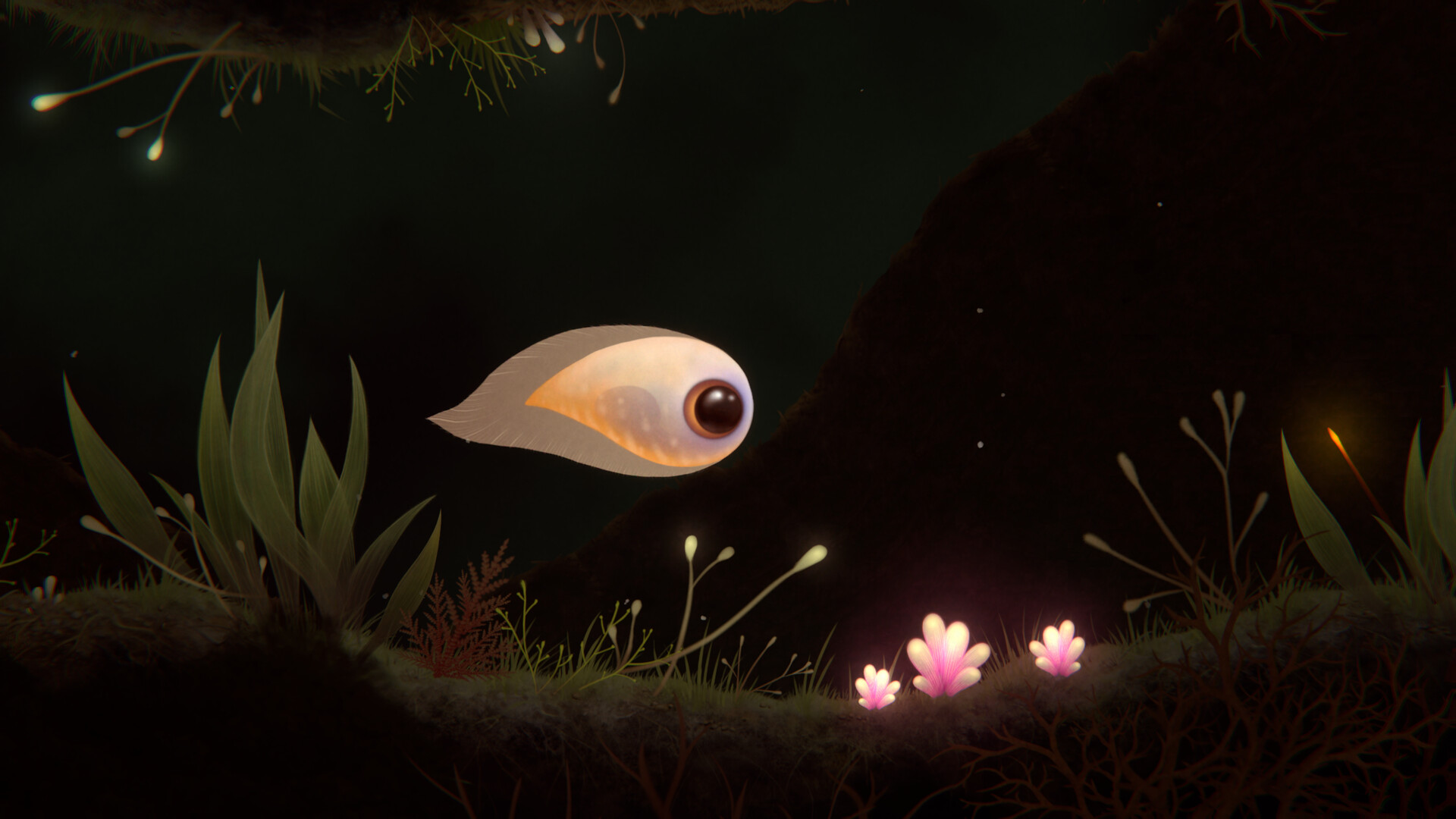 Evolution: From the little light