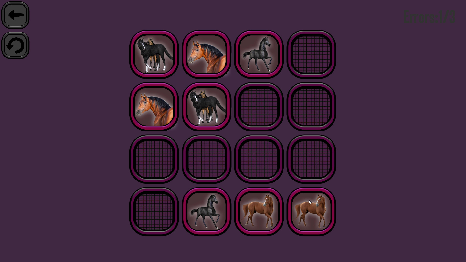 Animals Memory: Horses