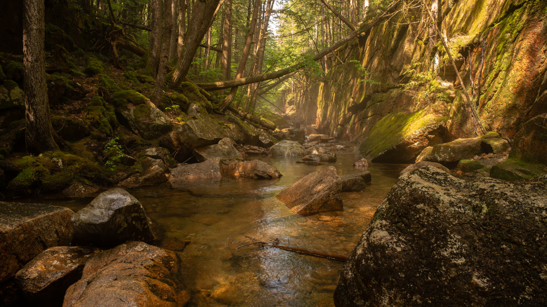 Get Lost In Nature With Luke