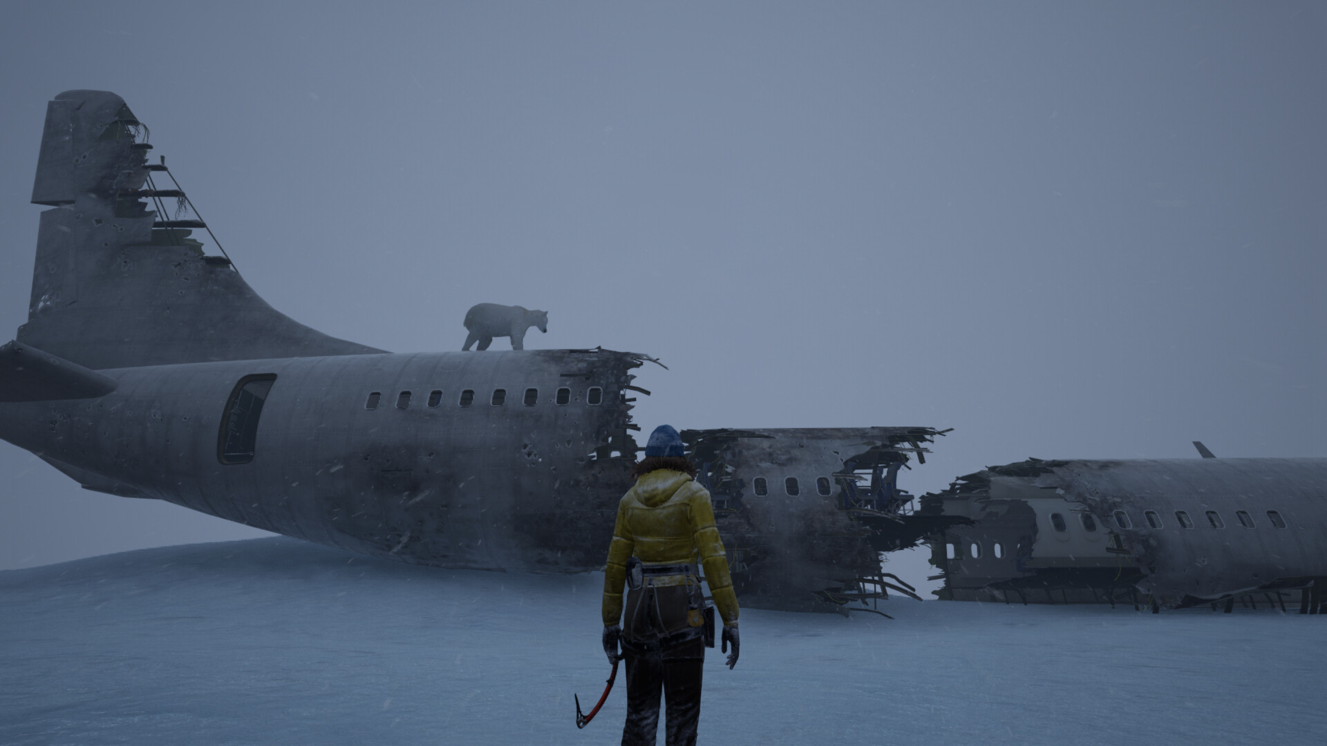 Ice World