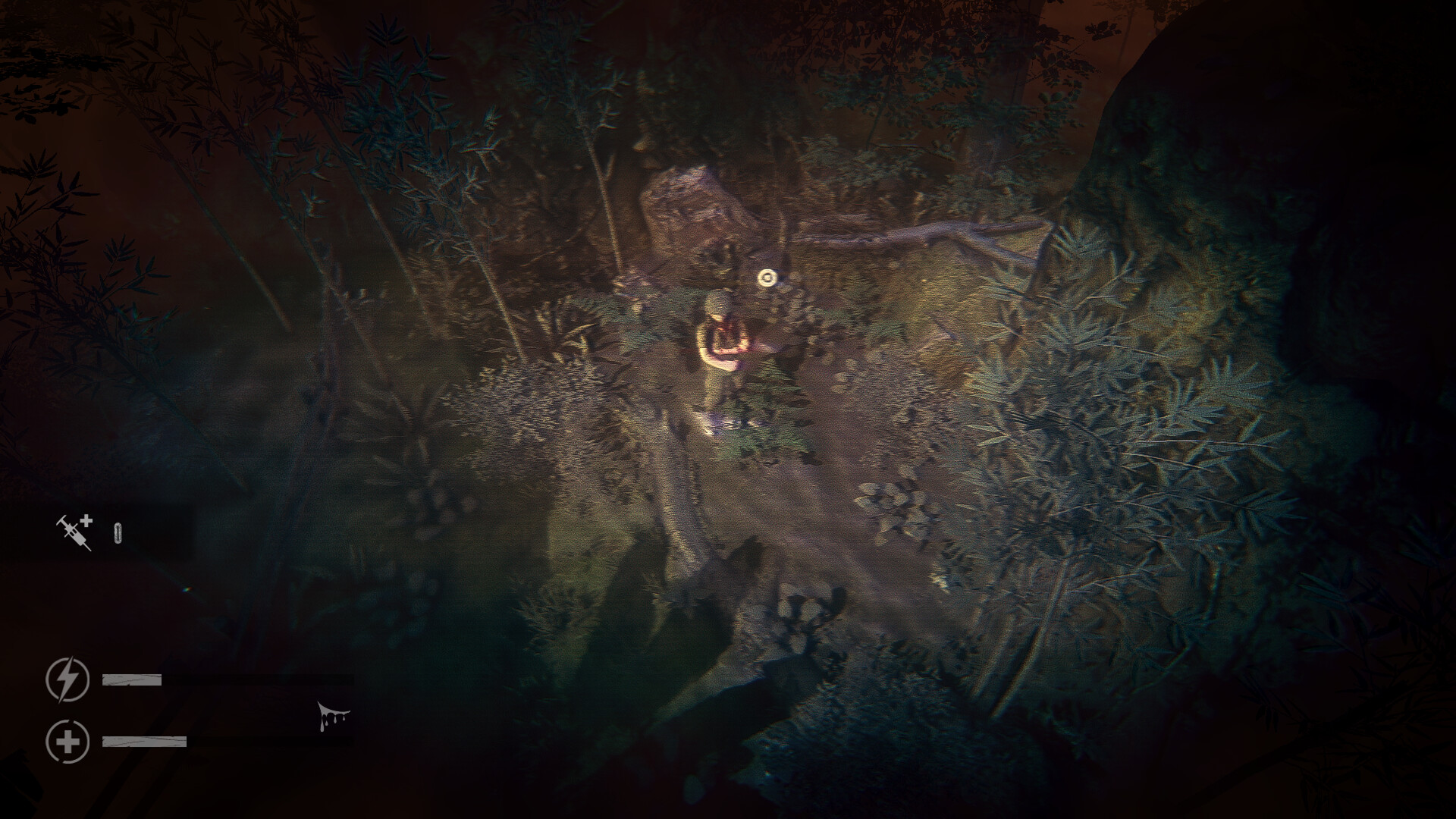 The Silent Jungle