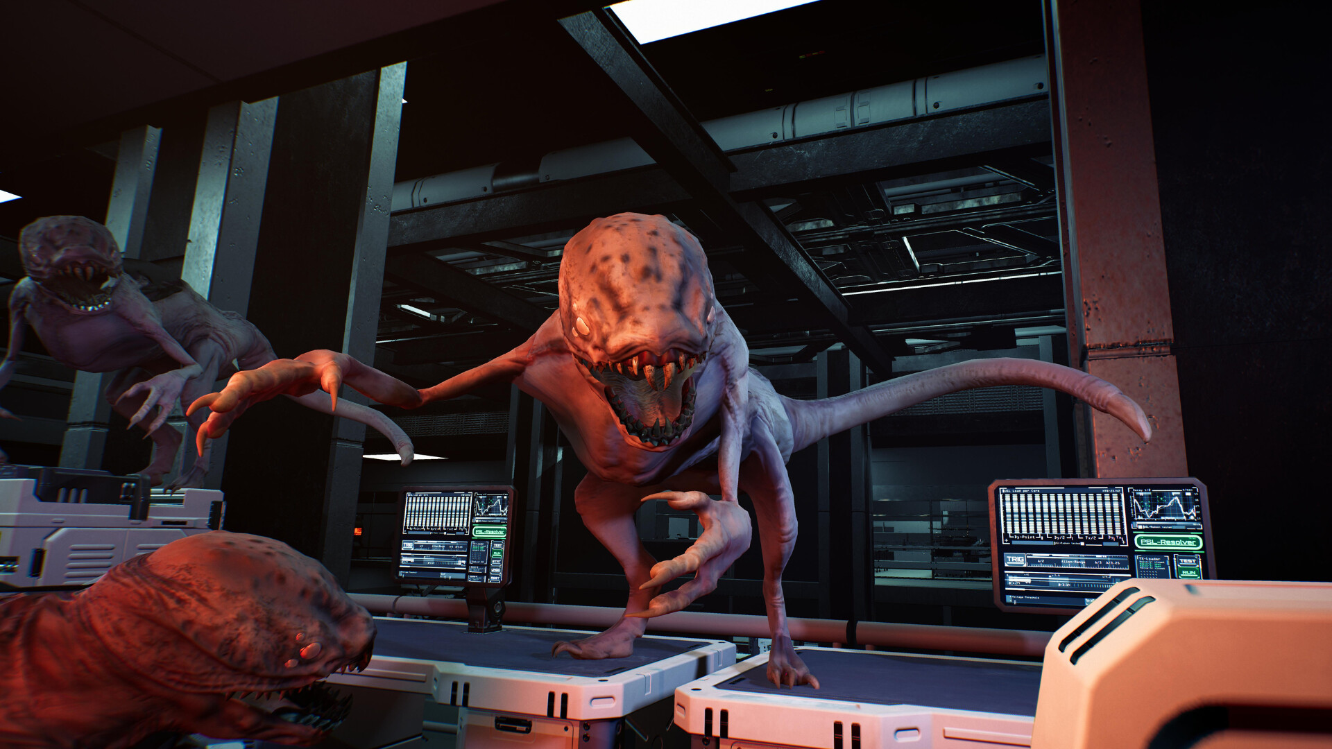 Meg Infinity VR