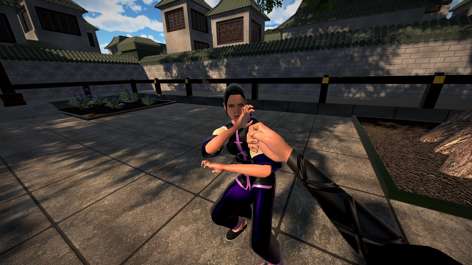 Dragon Fist: VR Kung Fu