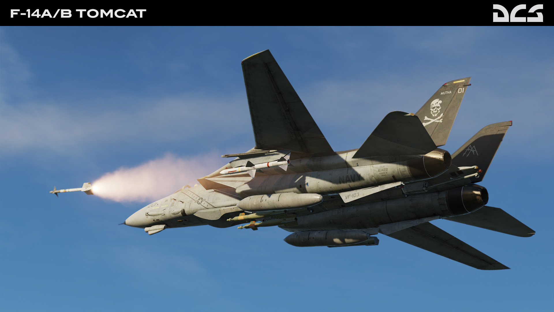 DCS: F-14A/B Tomcat