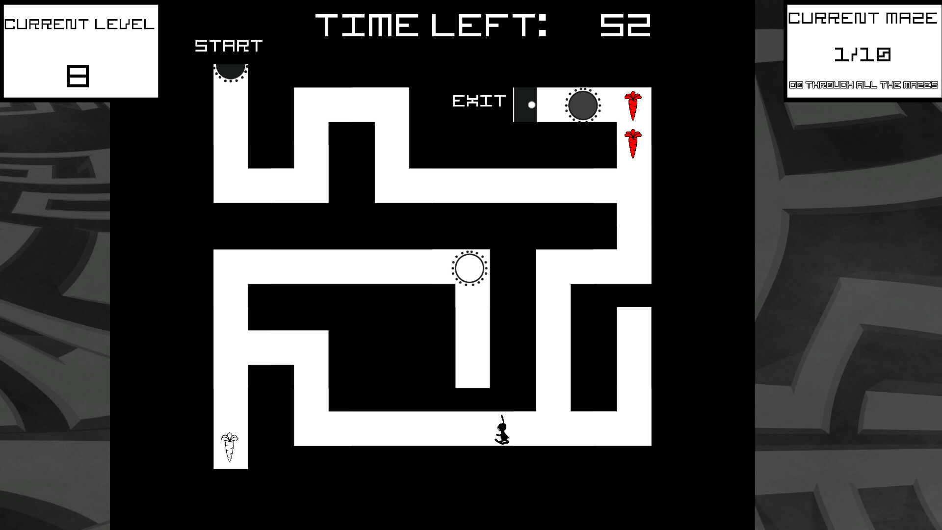 Bunny Mazes