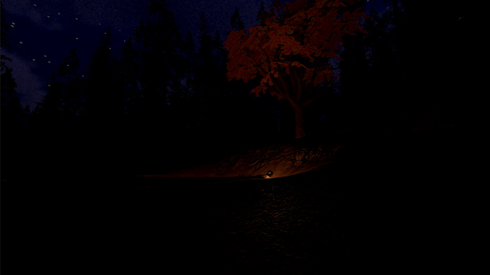 Trade Post Forest