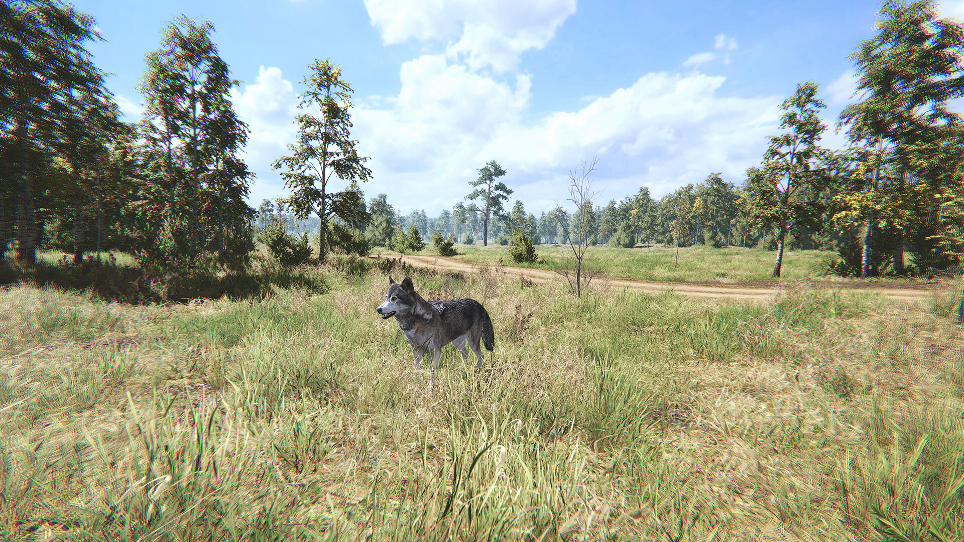 On the Hunt