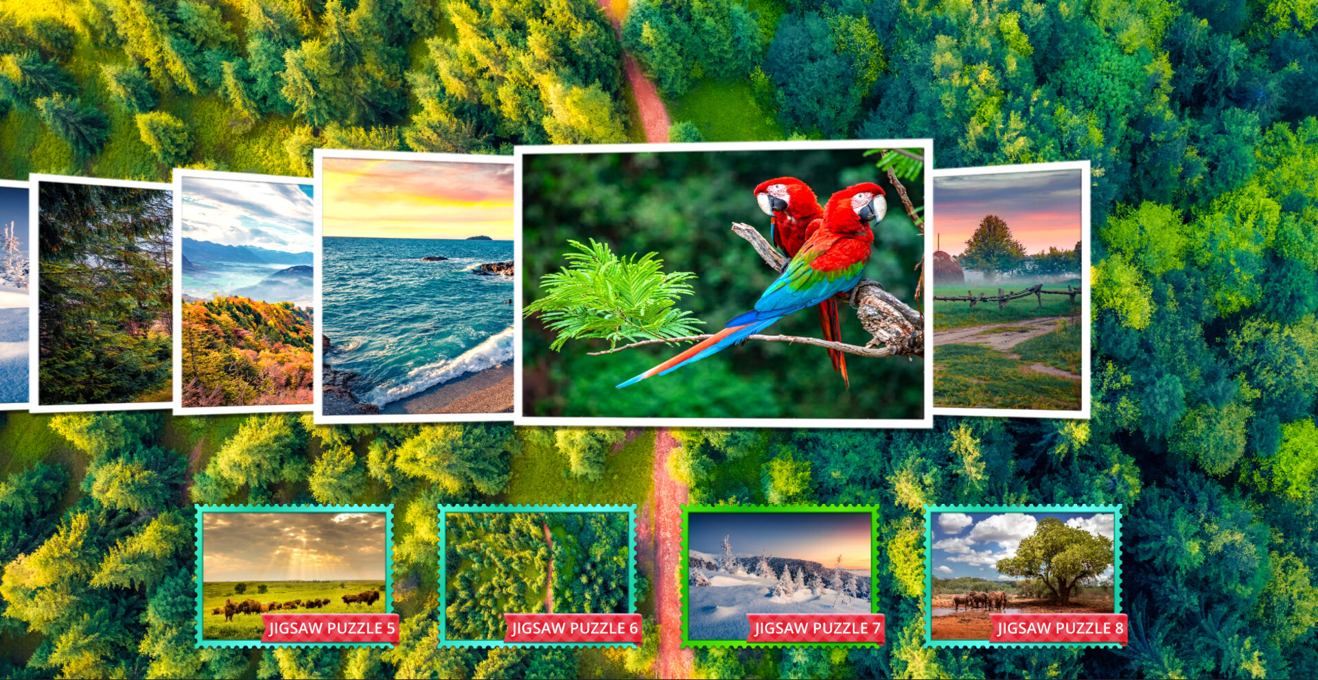 Nature & Wildlife - Jigsaw Puzzle - Expansion Pack 8