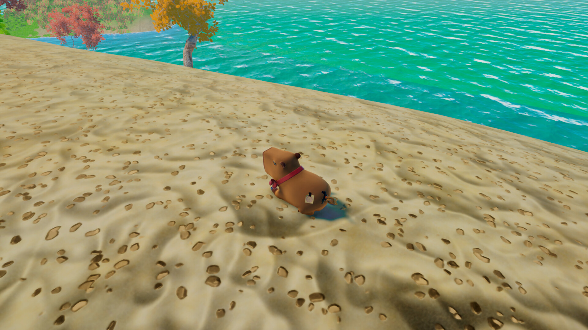 Capybara Hot Tub