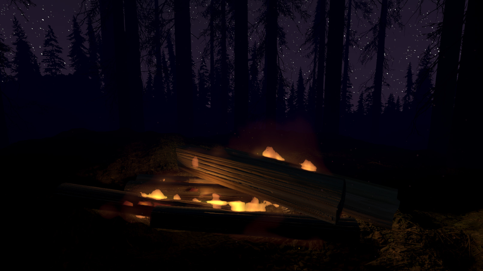 Fire Place