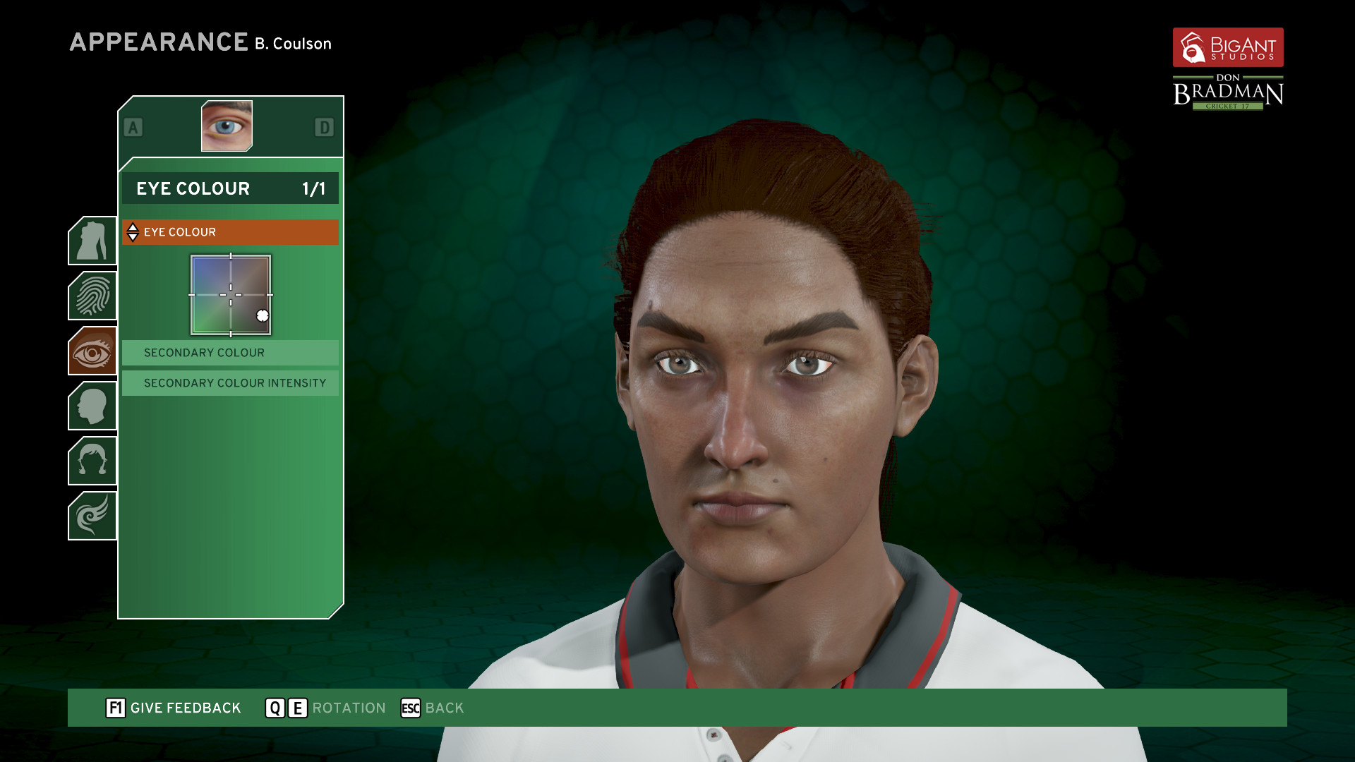 Don Bradman Cricket 17 Demo