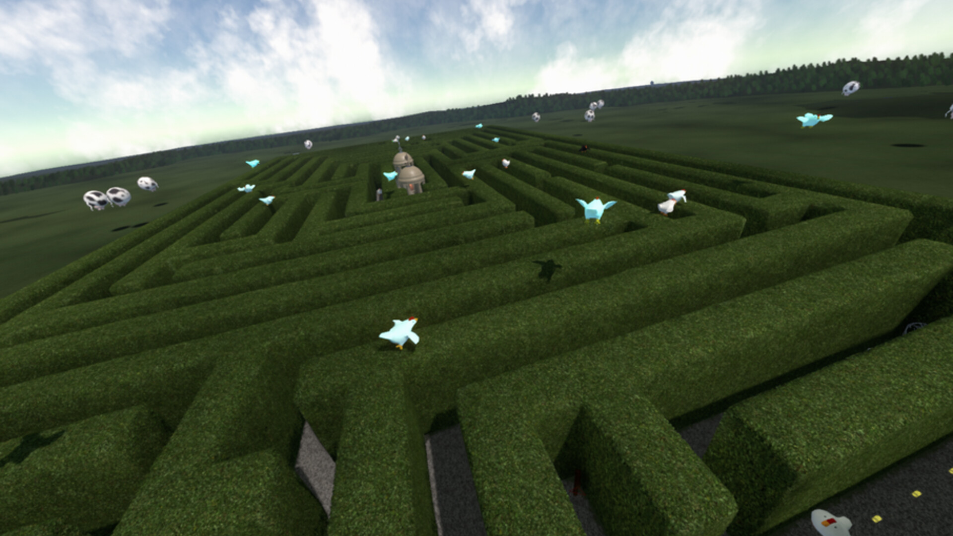 Chasing Chickens