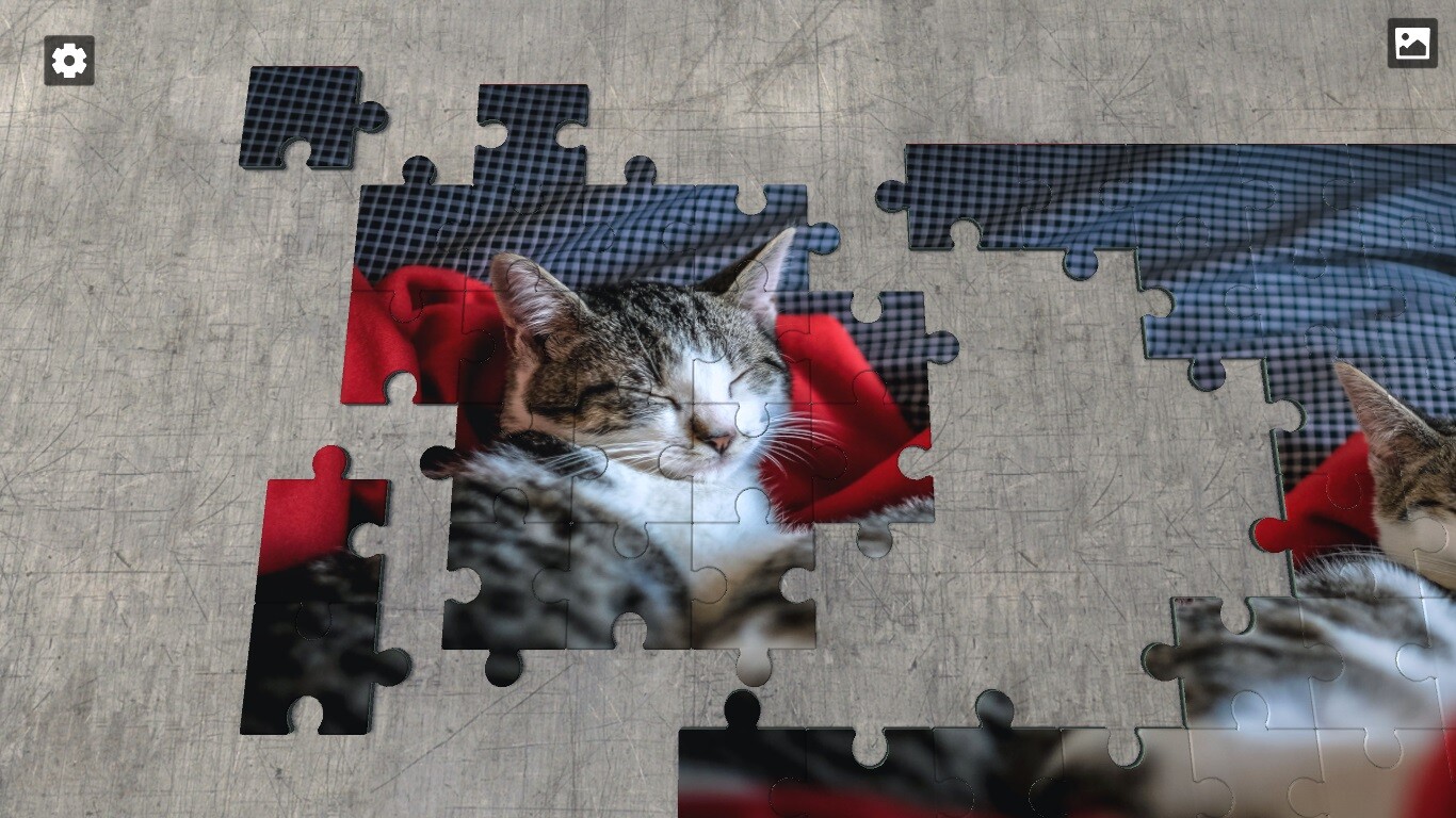 Puzzle World