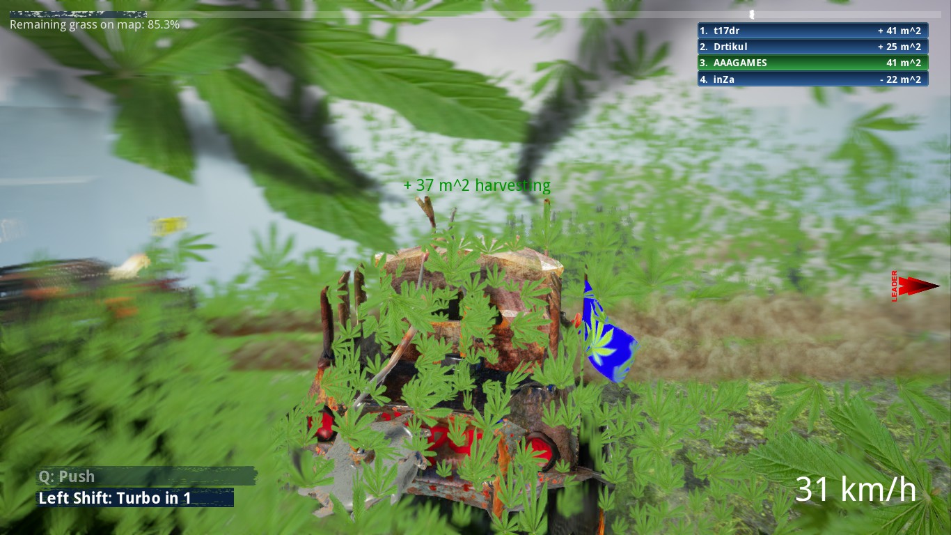 Grass Max