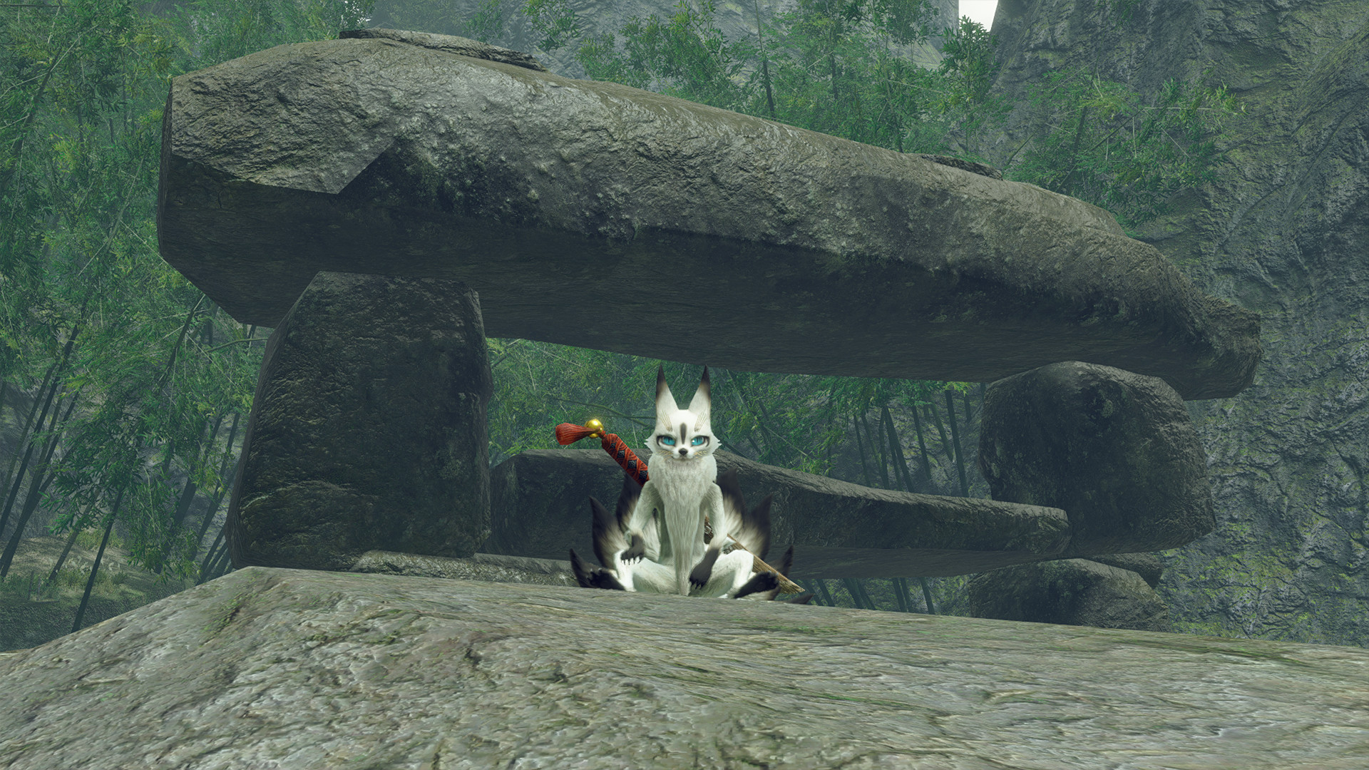 MONSTER HUNTER RISE - 