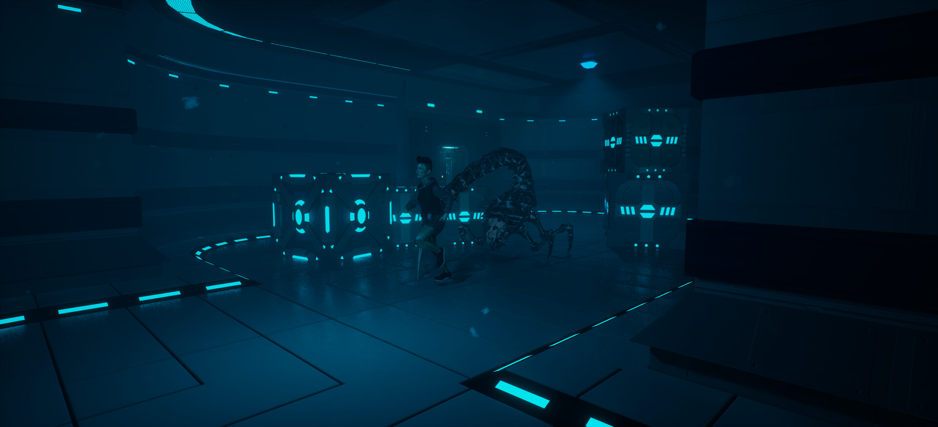 Maze Of Misery