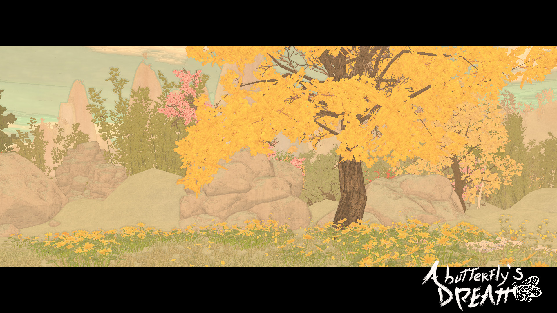 A Butterfly's Dream