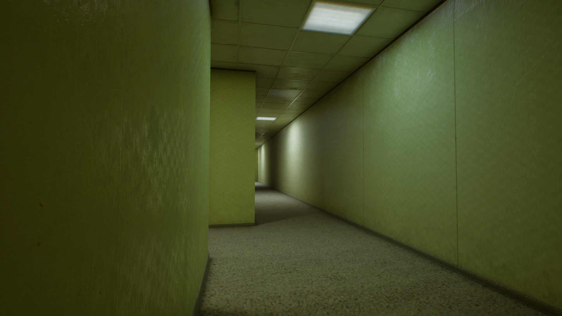 Backrooms of Reality