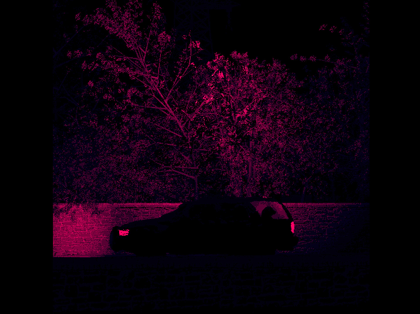 [AFANTASIA]