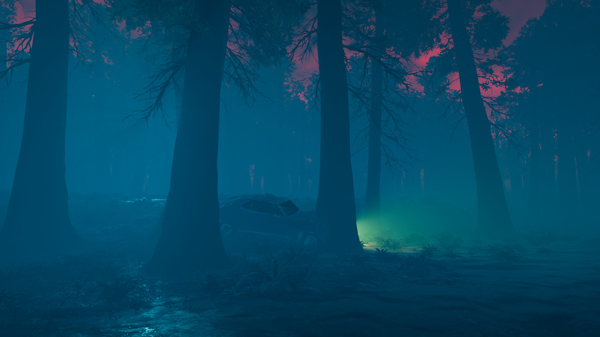 The Woods
