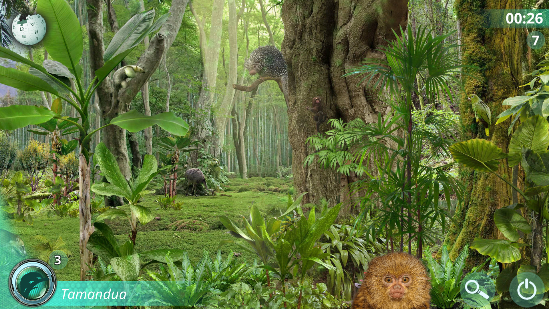 Hidden Animals: Photo Hunt - Worldwide Safari