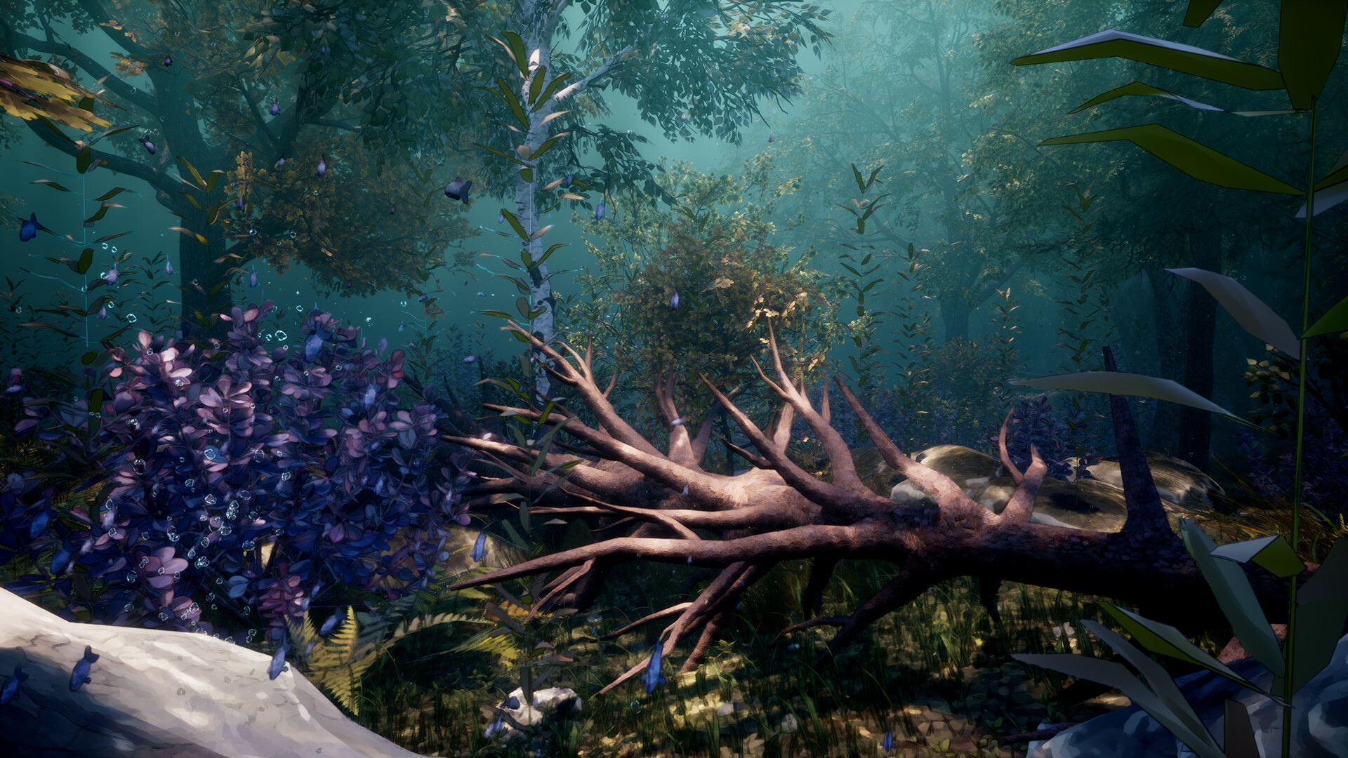 Echoes of Mora