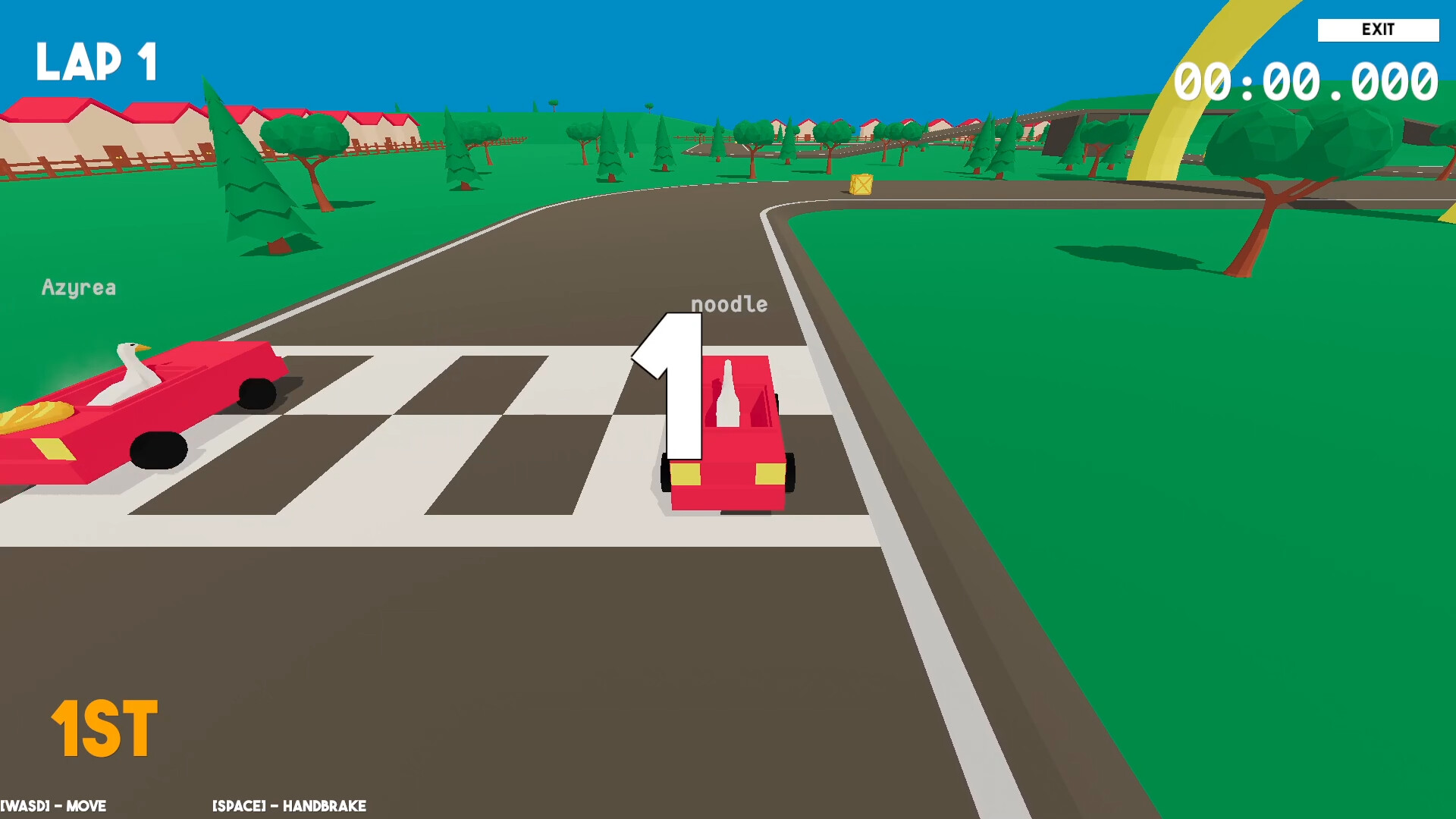 Ducks Can Drive